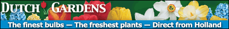Dutch Gardens Coupon Codes - Promotion Discounts, Coupons and Promotions for DutchGardens.com