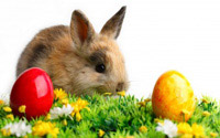 making-easter-fun-and-meaningful