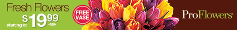 ProFlowers.com Promotion Codes - Coupons, Coupon Codes and Promotions for Pro FLowers