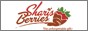 Shari's Berries Source Codes